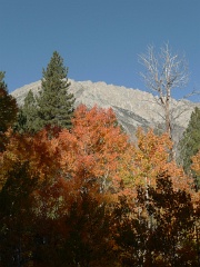 California-Fall2010 656